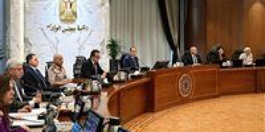 مجلس الوزراء يستعرض مشروعات خطة وزارة الكهرباء للوصول بالطاقات المتجددة لـ30%