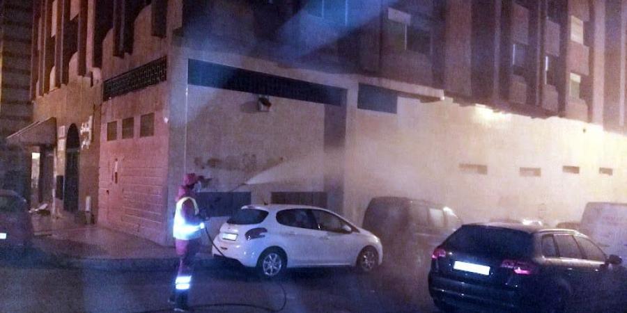 انتشار الحشرات يثير القلق بالمحمدية