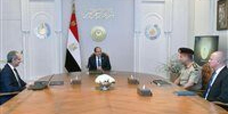 الرئيس السيسي يوجه بالانتهاء من الإجراءات التنفيذية لبدء مبادرة الرواد الرقميون