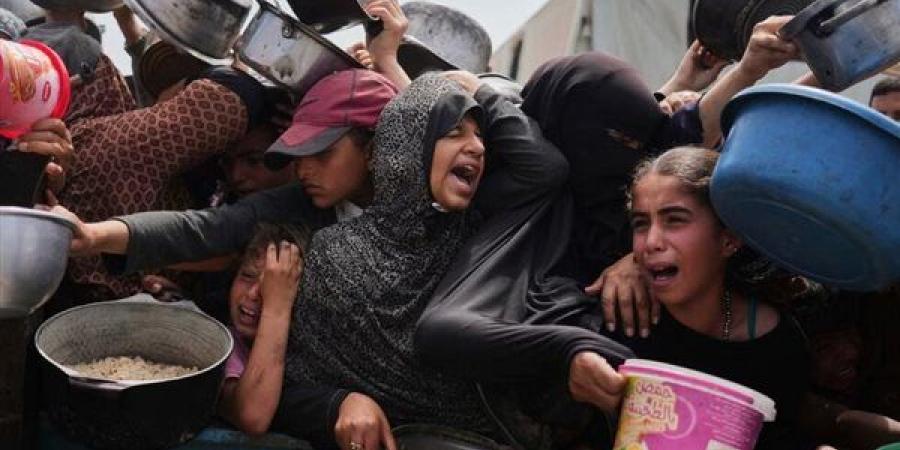 الأمم المتحدة: 47 جريحًا بطلقات نارية خلال محاولتهم الحصول على مساعدات بغزة