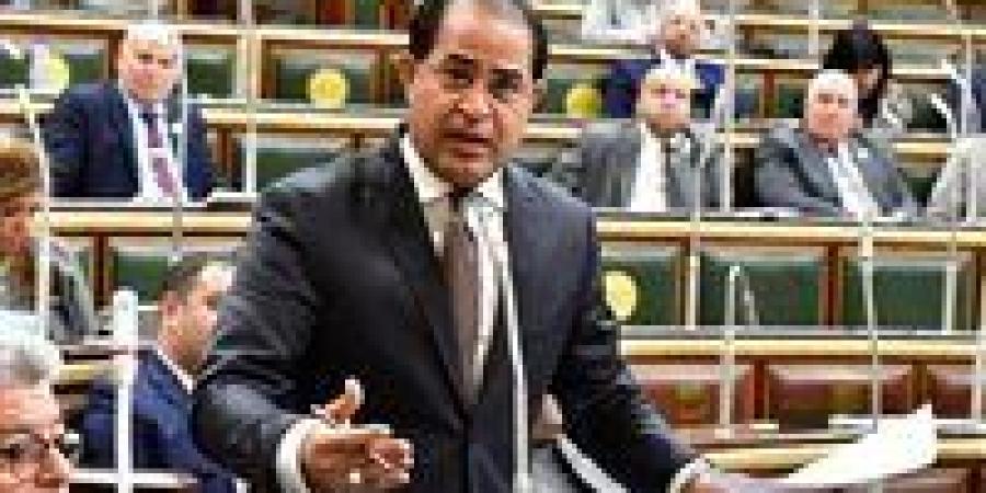 سليمان وهدان: الجبهة الوطنية لا تسعى لحصد أغلبية داخل البرلمان المقبل