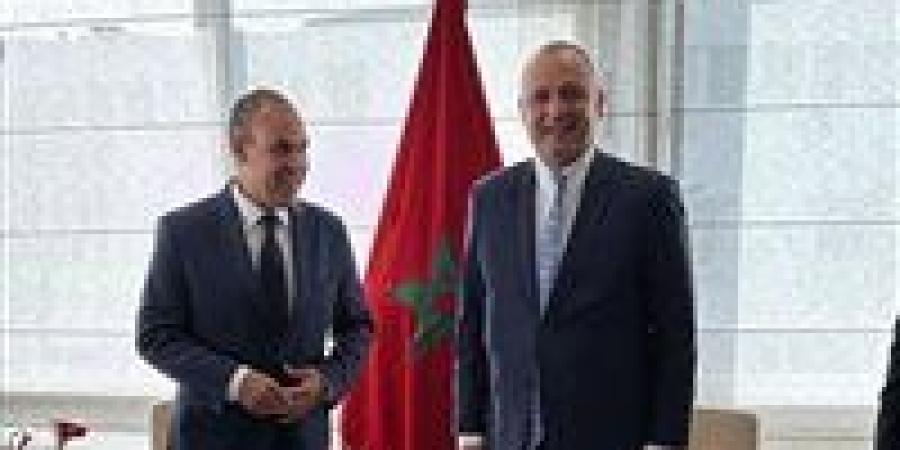 دعم الاستثمارات المغربية في مصر.. تفاصيل لقاء وزير الخارجية مع وزير الصناعة المغربي