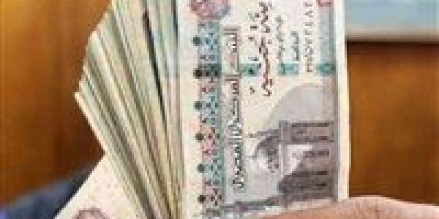 طريقة الاستعلام عن بيانات مرتبات الموظفين بالرقم القومي من خلال هذا الرابط
