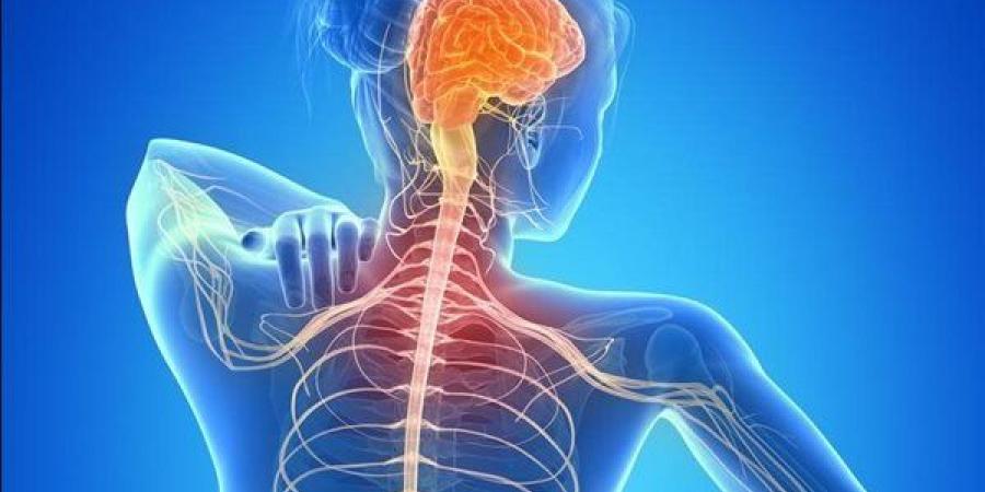 اليوم العالمي لـ«التصلب المتعدد».. تعرف على الأعراض وطرق العلاج