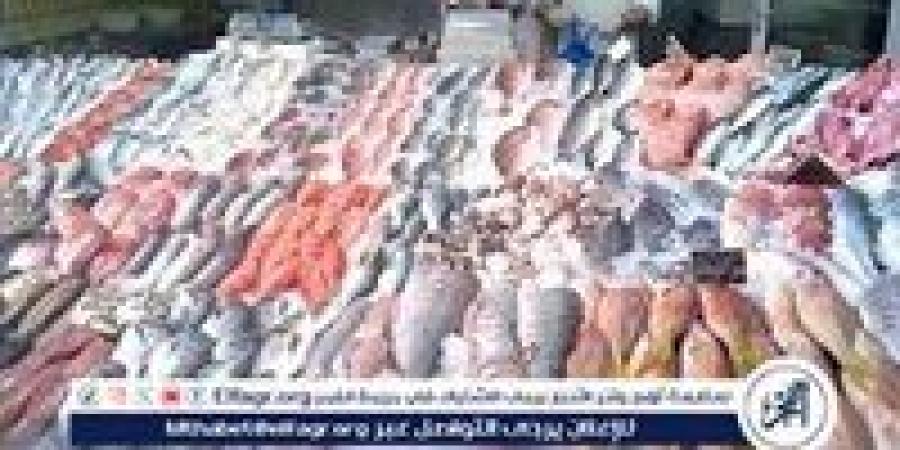 اسعار السمك اليوم الثلاثاء 3-6-2025 في الدقهلية