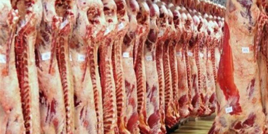 أسعار اللحوم مساء اليوم السبت 7-6-2025