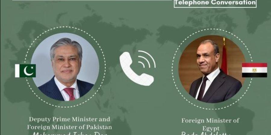 وزير خارجية باكستان يهنئ عبد العاطي بعيد الأضحى