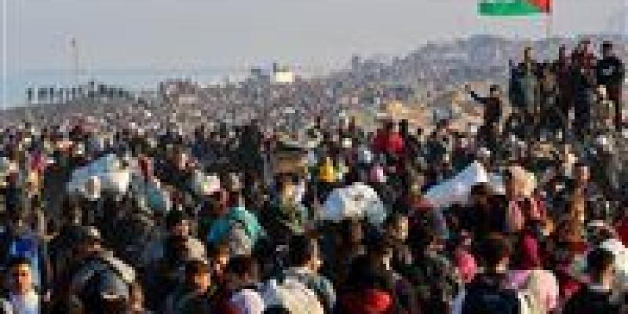 مدير المستشفيات الميدانية في غزة يوضح تطورات الوضع الإنساني: كارثة