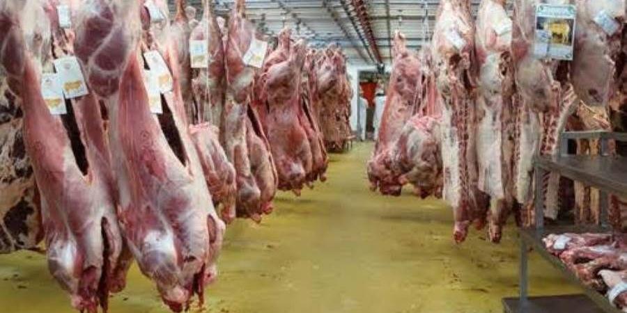 «الزراعة» : ذبح أكثر من 20 ألف أضحية بالمجازر الحكومية خلال أول يومين لعيد الأضحى المبارك