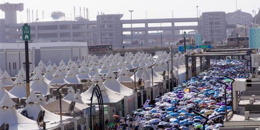 استضافة ألف حاج اقتصادي مصري في أبراج منى الفاخرة مجانًا