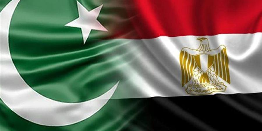 باكستان تشيد بدور مصر في الأزمة مع الهند وتؤكد تعزيز التعاون الثنائي