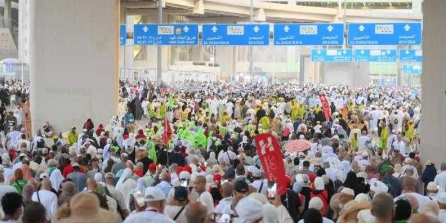 التضامن: عودة أولى رحلات حج الجمعيات الأهلية من جدة 10 يونيو