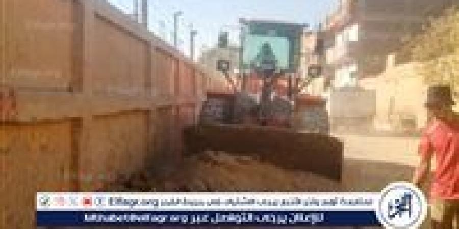 صور.. رفع 65 طن أتربة وتراكمات خلال حملات نظافة مكثفة بمركز الطود بالاقصر