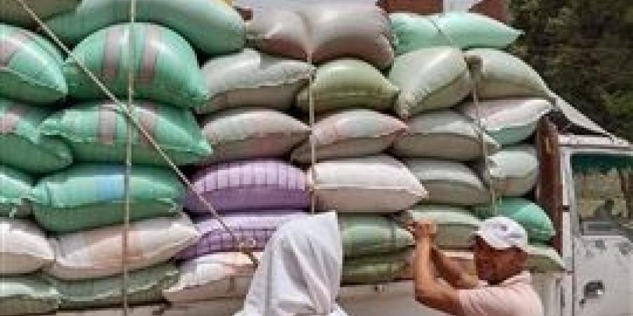 محافظ المنيا: استمرار أعمال توريد القمح بتوريد 508 آلاف طن قمح منذ بدء موسم 2025