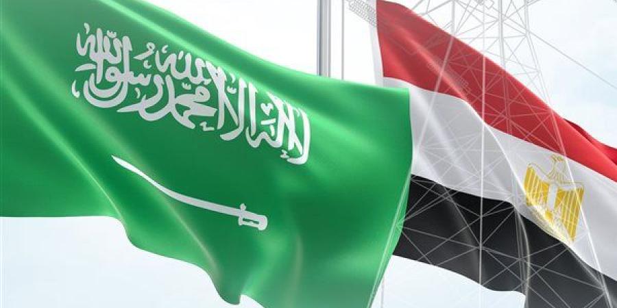 مجلس الوزراء: الربط الكهربائي مع السعودية انطلاقة استراتيجية لمركز إقليمي للطاقة