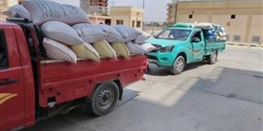 توريد أكثر من 310 ألف طن قمح لشون وصوامع البحيرة