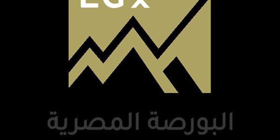 الثلاثاء.. موعد إجراء انتخابات مجلس إدارة البورصة المصرية