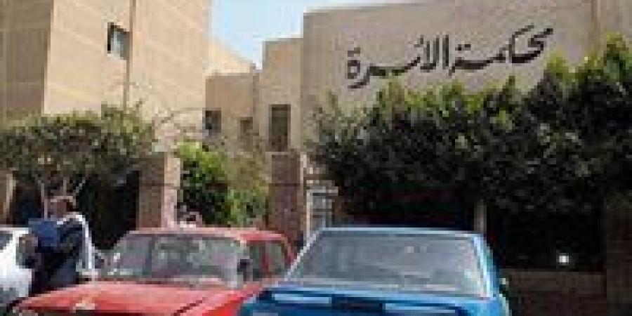 صراعات بأركان محكمة الأسرة.. العقوبة القانونية لمن يمنع الأب من رؤية أطفاله