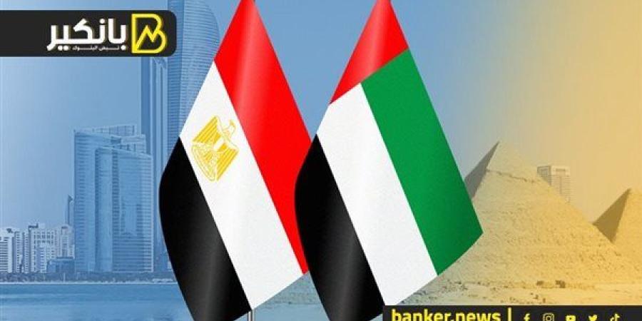 وسط الحرب.. مشروع عالمي في مصر