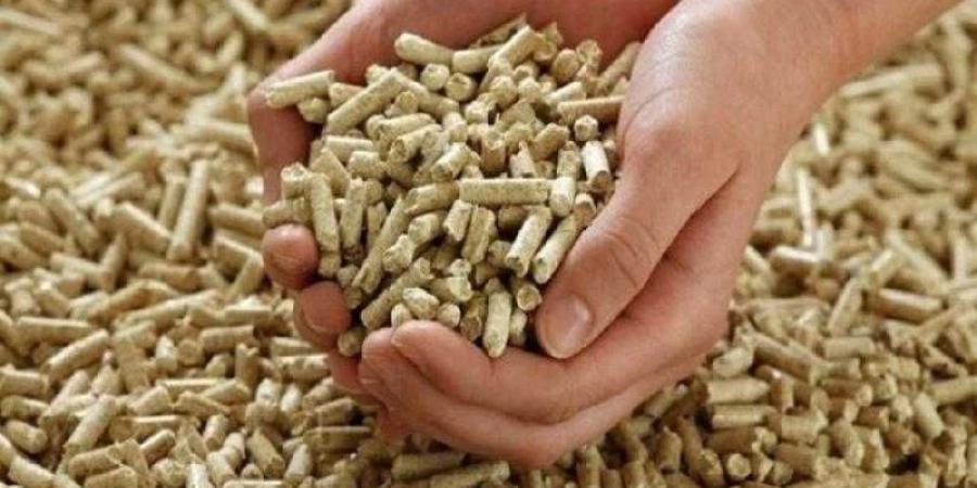 قفزة في سعر شيكارة العلف اليوم الإثنين عند التاجر.. مين هيخزن