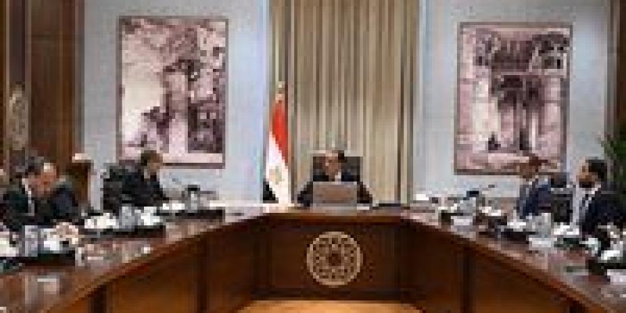 مدبولي يستعرض خطوات تنفيذ برنامج الطروحات الحكومية في قطاع الاتصالات
