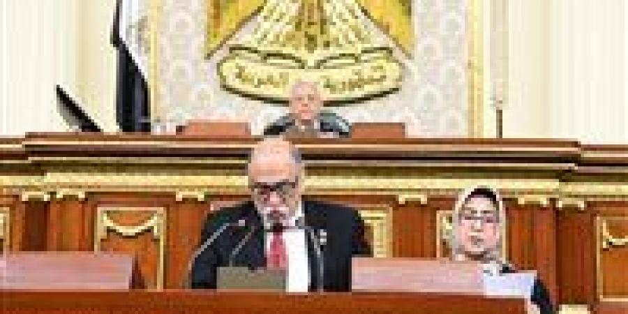 زعيم الأغلبية البرلمانية: لن نقبل المساس بالسيادة المصرية