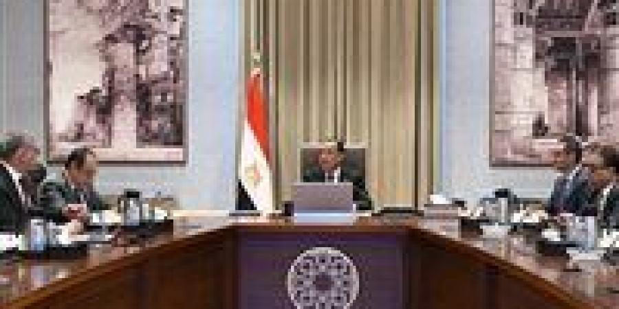 رئيس الوزراء يتابع تنفيذ برنامج الطروحات الحكومية بقطاعي البترول والأعمال العام