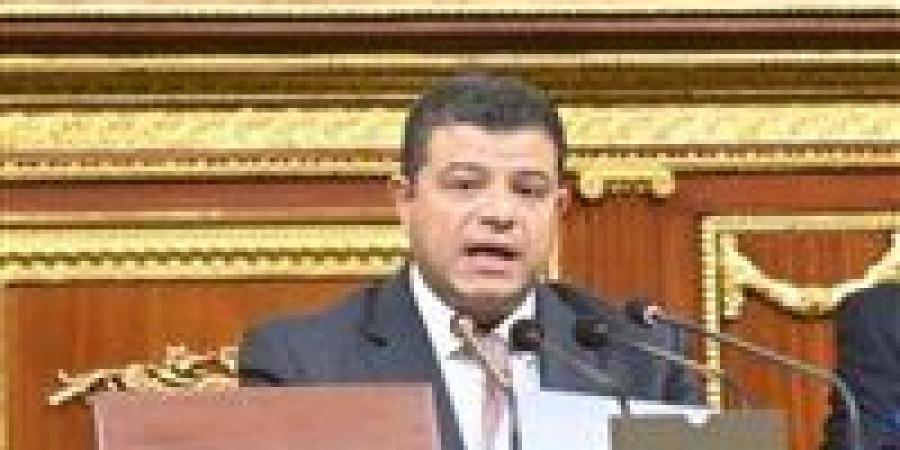 رئيس "اقتصادية النواب": الموازنة العامة للدولة من حيث الشكل "مقبولة"