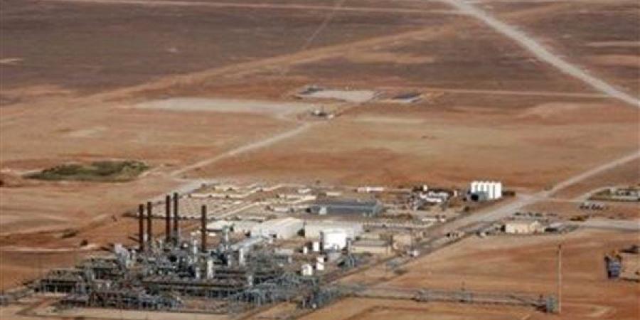 شركات عالمية وعربية تفوز برخص استكشاف وتطوير 5 حقول غاز في الجزائر