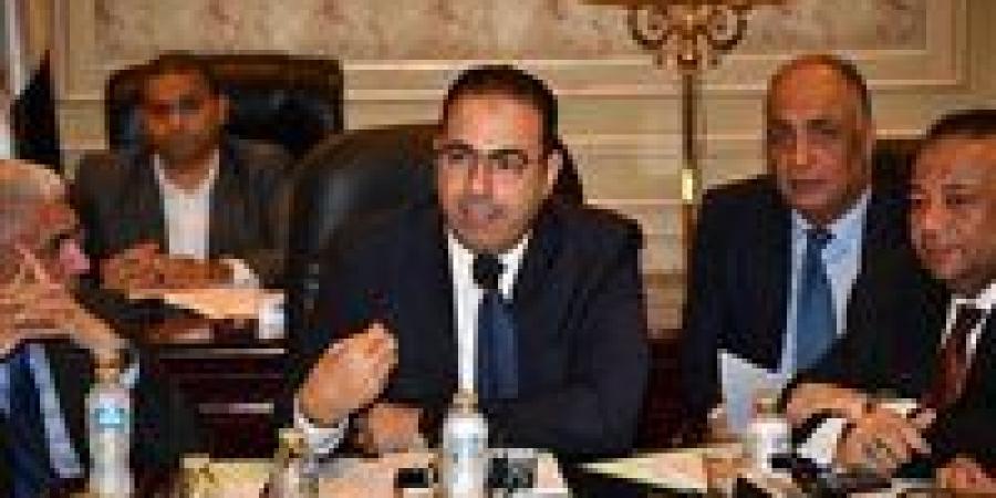 شباب النواب توصي بالتزام محافظة الإسماعلية توفير قطعة أرض لإنشاء نادي أبو خليفة