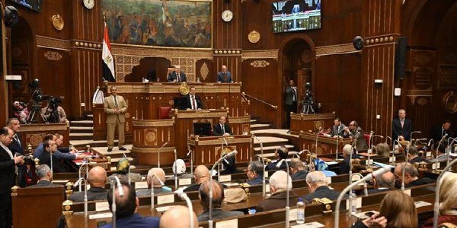 بحضور وزير التعليم العالي.. تفاصيل الجلسة العامة لمجلس الشيوخ اليوم| صور