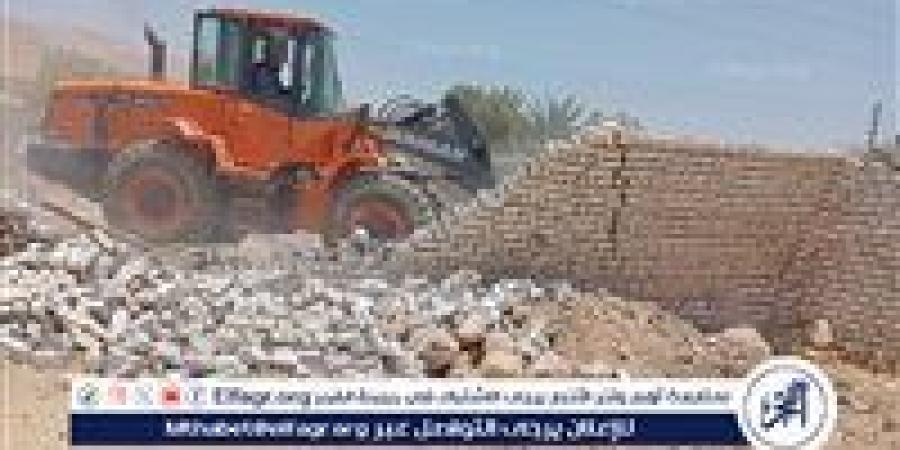 صور.. إزالة واسترداد 22 حالة تعد على أراضي أملاك الدولة بإسنا في الأقصر