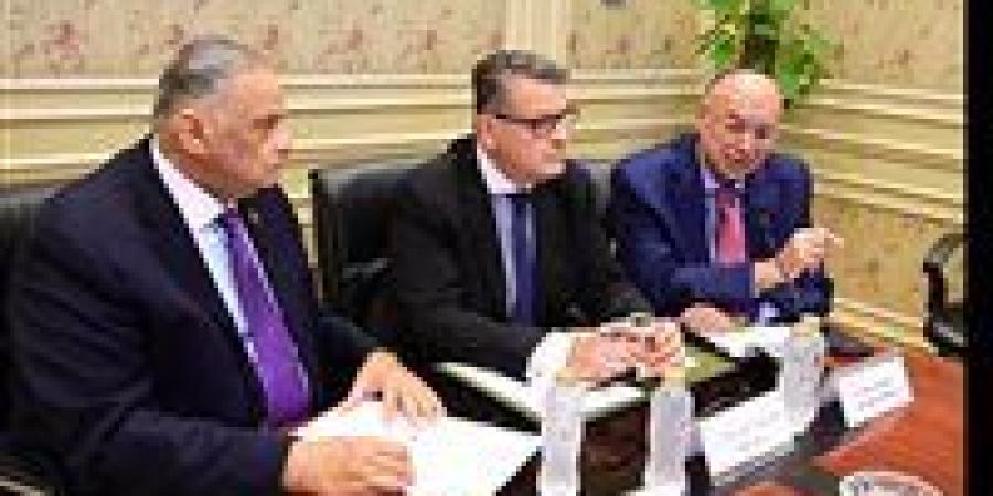 لجان البرلمان تؤكد دعمها الكامل للمجلس القومي لحقوق الإنسان كهيئة وطنية مستقلة