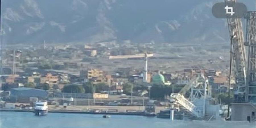 وصول 1057 رأس عجول حية لميناء سفاجا قادمة من جيبوتي