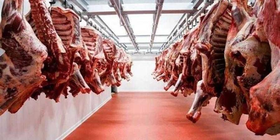 أسعار اللحوم الحمراء اليوم الإثنين