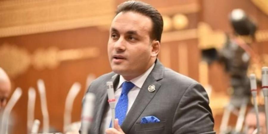 النائب عمرو فهمي: 30 يونيو سيظل شاهدا على لحظة فاصلة في تاريخ الوطن